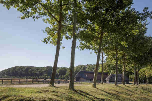 Gemeente Ede aan de slag met opgavegerichte sturing