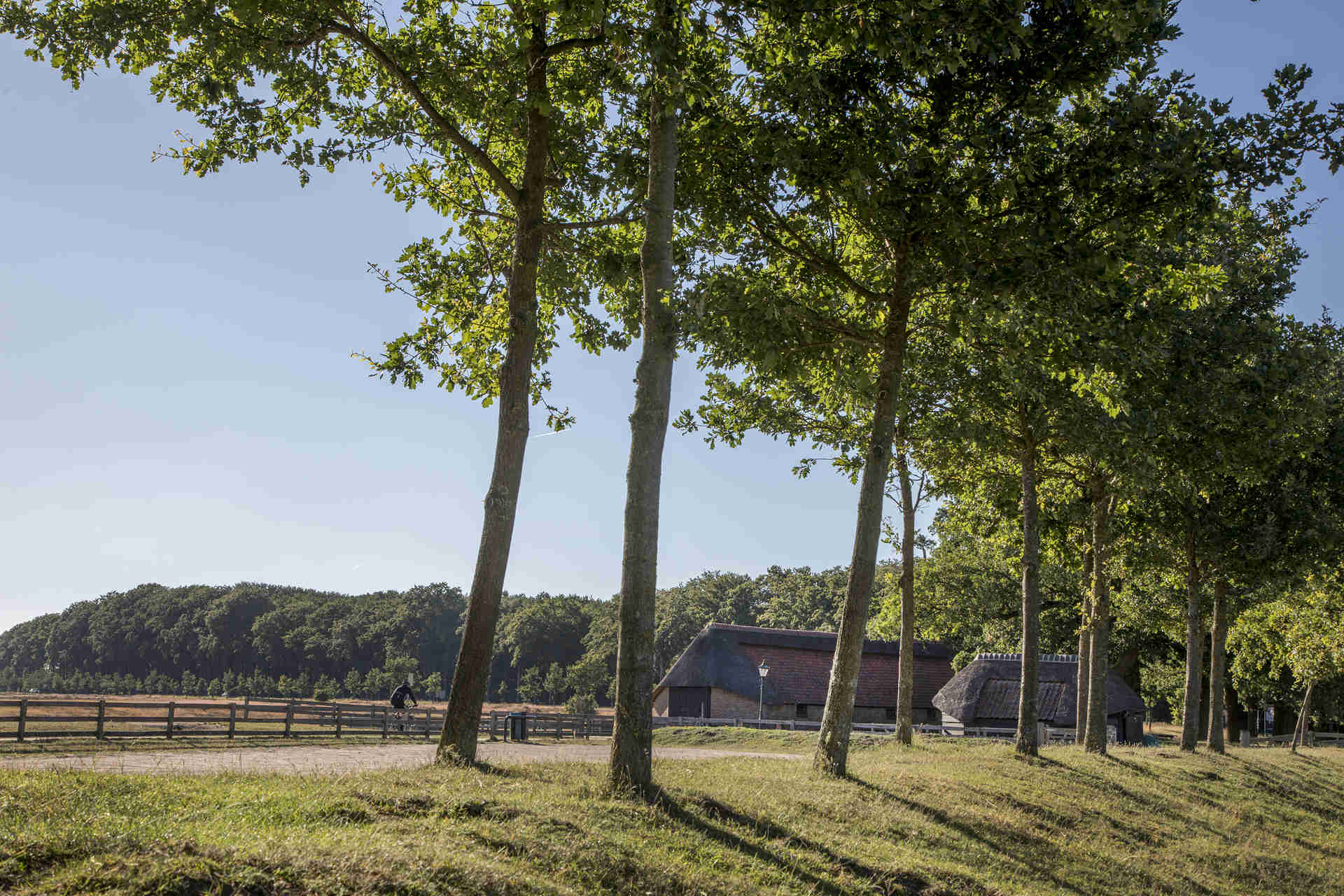 Gemeente Ede aan de slag met opgavegerichte sturing 