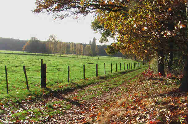 Gedragen convenant Regio Deal Veluwe voor provincie Gelderland