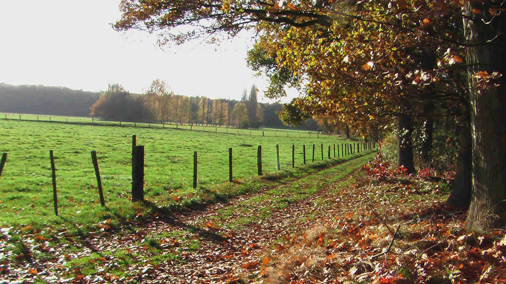 Gedragen convenant Regio Deal Veluwe voor provincie Gelderland